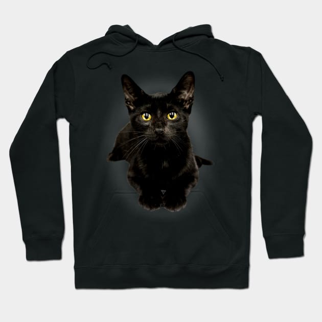 Black Cat Yellow Eyes Cute Kitty For Cat Owners Hoodie by Blink_Imprints10